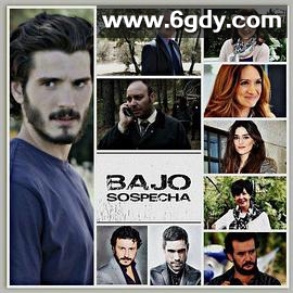 嫌疑之下第二季(2016)完结已完结迅雷网盘全集下载