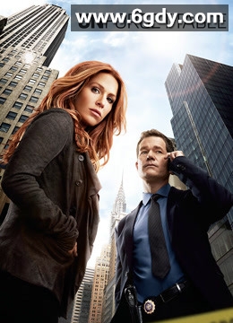 记忆神探第四季(2015)完结已完结迅雷网盘全集下载