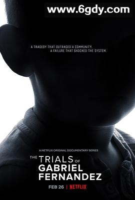 盖布瑞案：消逝的小生命 第一季(2020)完结已完结迅雷网盘全集下载