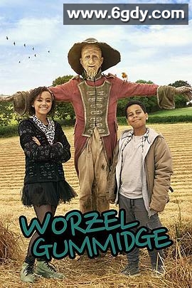 华泽尔·古米治(2019)完结已完结迅雷网盘全集下载