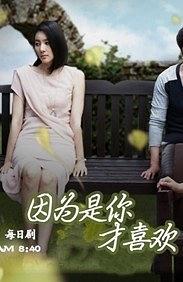 因为是你才喜欢(2012)完结已完结迅雷网盘全集下载
