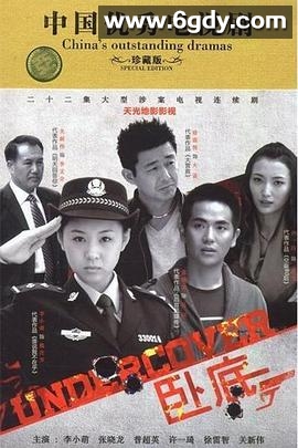 卧底2014(2014)完结已完结迅雷网盘全集下载