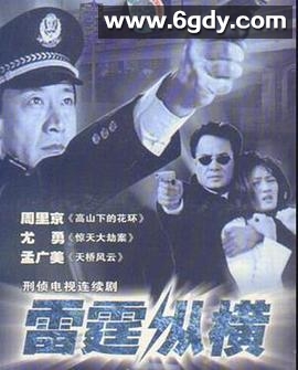 雷霆纵横(2008)完结第20集迅雷网盘全集下载