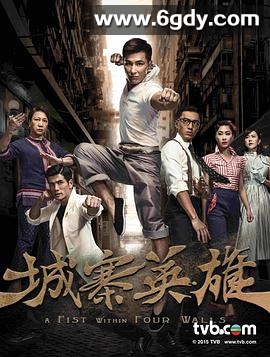 城寨英雄(2016)完结28集全迅雷网盘全集下载