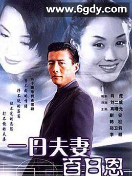 一日夫妻百日恩(1998)完结第20集迅雷网盘全集下载