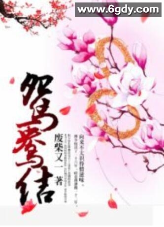 鸳鸯结(2023)完结第20集迅雷网盘全集下载