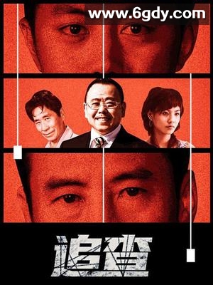 追查(2006)完结第22集迅雷网盘全集下载