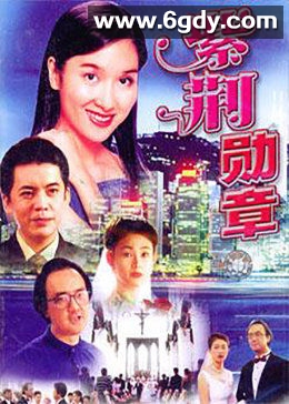 紫荆勋章(2000)完结第20集迅雷网盘全集下载