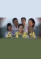 正骨柔情(2011)完结第2集迅雷网盘全集下载