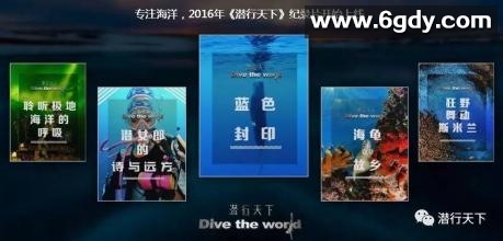 潜行天下(2020)完结第6集迅雷网盘全集下载