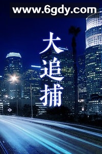 大追捕(2008)完结第20集迅雷网盘全集下载