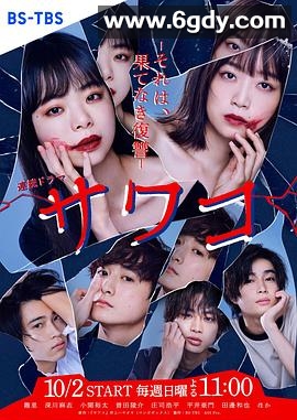 佐和子~那是，无尽的复仇~(2022)完结全10集迅雷网盘全集下载