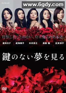 没有钥匙的梦(2013)完结全5集迅雷网盘全集下载