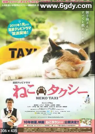 猫咪出租(2010)完结HD迅雷网盘全集下载