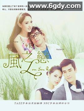 风之恋(2015)完结更新至22集迅雷网盘全集下载