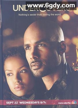 秘谍夫妻(2010)完结更新至11集迅雷网盘全集下载