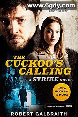 神探斯特莱克 第一季(2017)完结更新至05集完结迅雷网盘全集下载