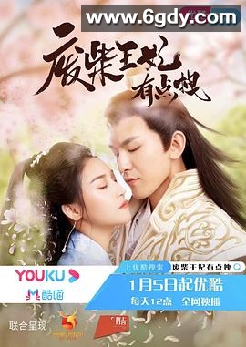 废柴王妃有点拽(2022)完结26集全迅雷网盘全集下载