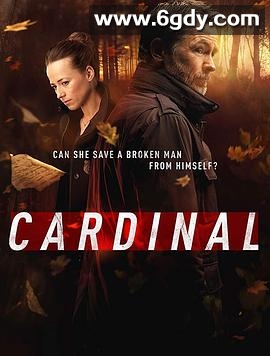 冰血缉凶 第三季(2019)完结6集全迅雷网盘全集下载