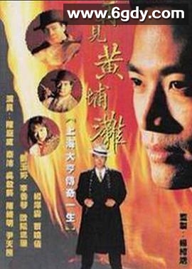 再见黄埔滩2(1994)完结20集全迅雷网盘全集下载