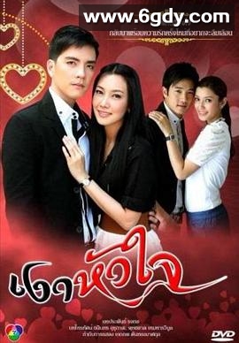 心影(2010)完结已完结迅雷网盘全集下载