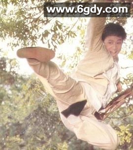 珠江群龙(1984)完结12集全迅雷网盘全集下载