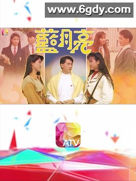 蓝月亮(1990)完结16集全迅雷网盘全集下载