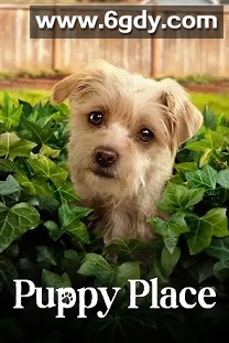 狗狗天地 第二季(2022)完结8集全迅雷网盘全集下载