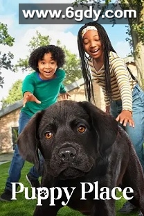 狗狗天地 第一季(2021)完结8集全迅雷网盘全集下载