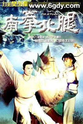 南拳北腿(1995)完结20集全迅雷网盘全集下载