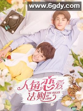 人鱼恋爱法则第二季(2019)完结全12集迅雷网盘全集下载