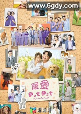 宠爱Pet Pet(2023)完结20集全迅雷网盘全集下载