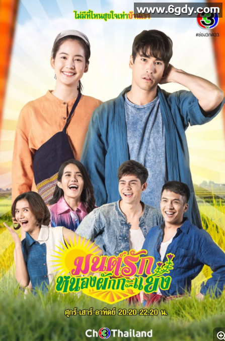 伊森情歌(2021)完结全13集迅雷网盘全集下载