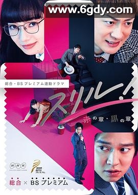 Thrill 红之章 警视厅庶务科 瞳的破案笔记(2017)完结4集全迅雷网盘全集下载