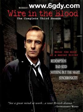 心理追凶 第三季(2005)完结全4集迅雷网盘全集下载