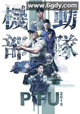 机动部队2019(2019)完结4集全迅雷网盘全集下载