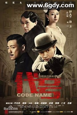 代号(2015)完结全37集迅雷网盘全集下载