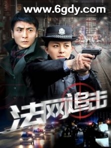 法网追击(2020)完结全30集迅雷网盘全集下载