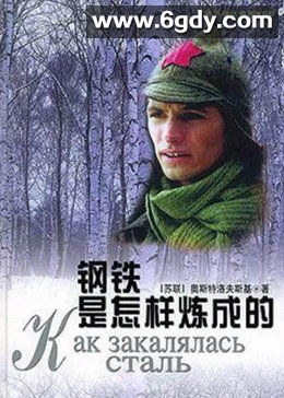钢铁是怎样炼成的(2000)完结全20集迅雷网盘全集下载