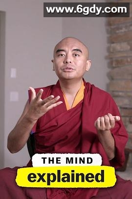 头脑解密 第二季(2021)完结全5集迅雷网盘全集下载