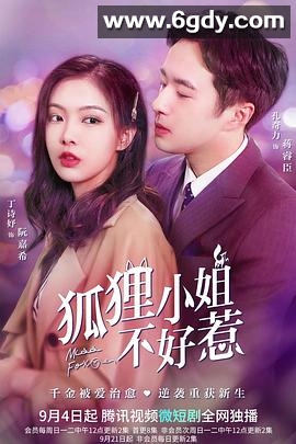 狐狸小姐不好惹(0)完结全24集迅雷网盘全集下载