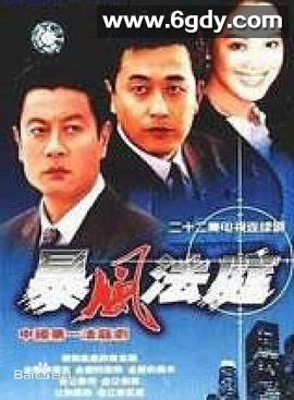 暴风法庭(2004)完结全22集迅雷网盘全集下载