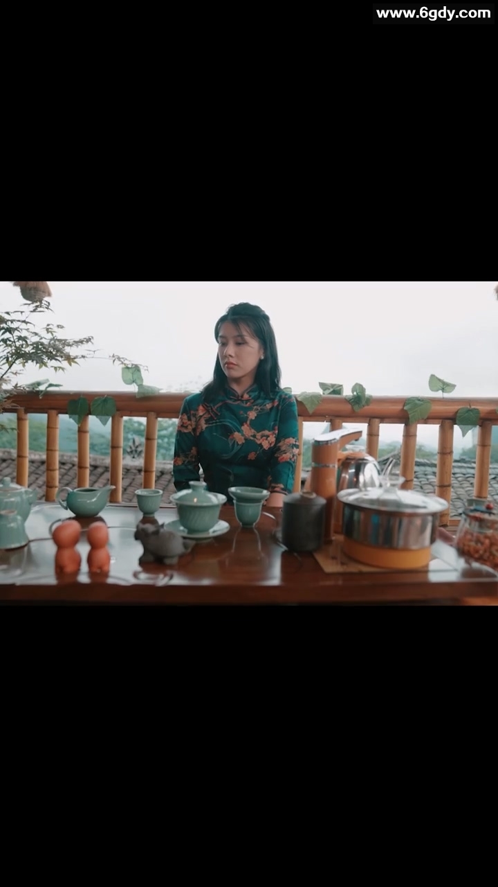 跨国400亿光年来看你(0)完结已完结迅雷网盘全集下载