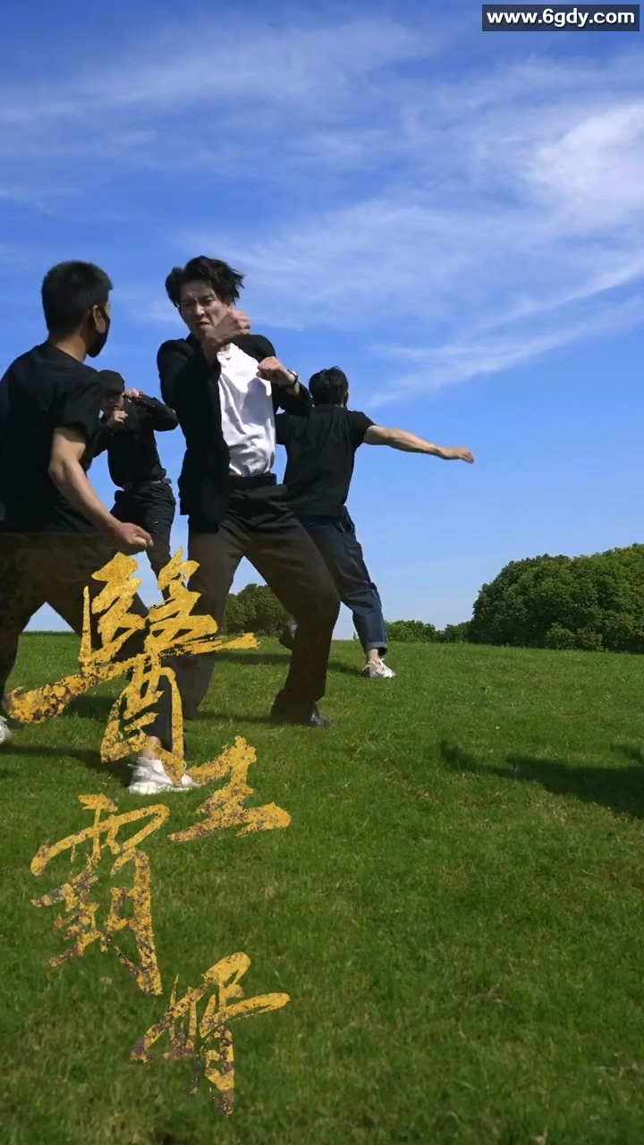 医王霸婿(0)完结已完结迅雷网盘全集下载