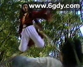 龙凤奇侠(1985)完结已完结迅雷网盘全集下载