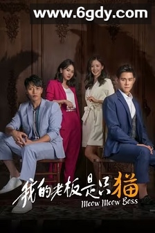 我的老板是只猫(2021)完结7集全迅雷网盘全集下载