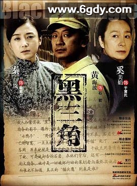 黑三角(2008)完结全30集迅雷网盘全集下载