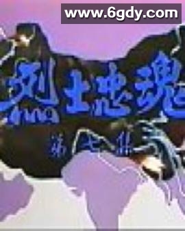 烈士忠魂(1988)完结20集全迅雷网盘全集下载