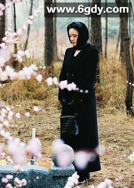 春花秋月2002(2002)完结已完结迅雷网盘全集下载