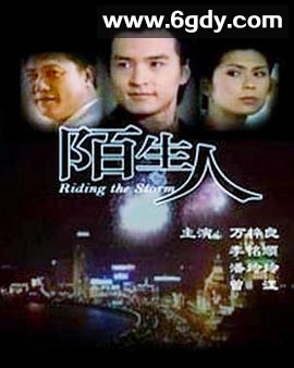陌生人1999(1999)完结已完结迅雷网盘全集下载